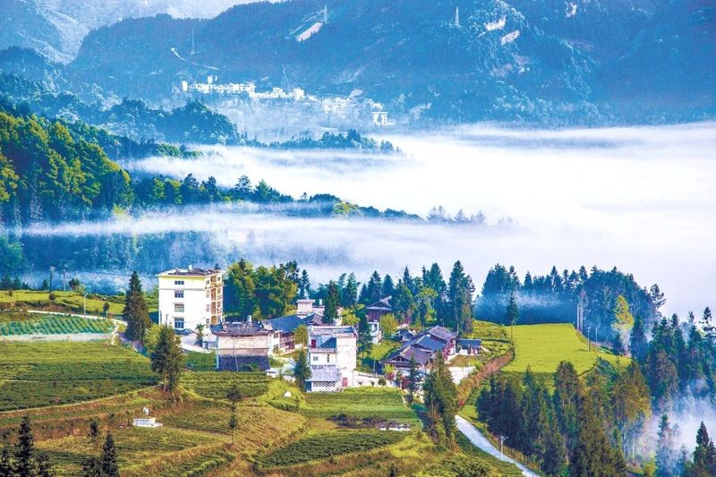 有关于听不厌的《龙船调》，其故乡还以凉闻名，更站湖北红茶C位的资讯(7)