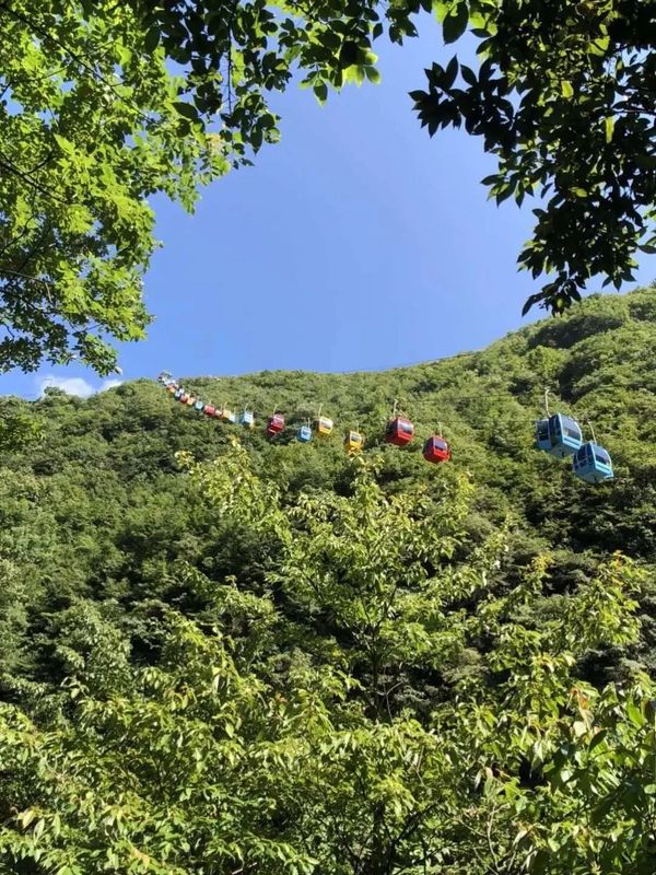 有关于听不厌的《龙船调》，其故乡还以凉闻名，更站湖北红茶C位的资讯(13)