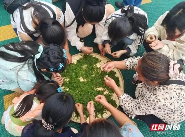 有关于永定区桥头乡：课堂实践享乐趣，村民齐心制香茶的信息(3)