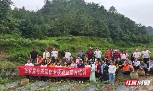 有关于永定区桥头乡：课堂实践享乐趣，村民齐心制香茶的信息(5)