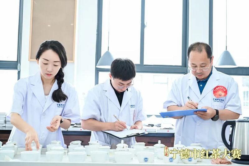 有关于这场红茶大赛呈现闽东茶品质密码的新闻(3)