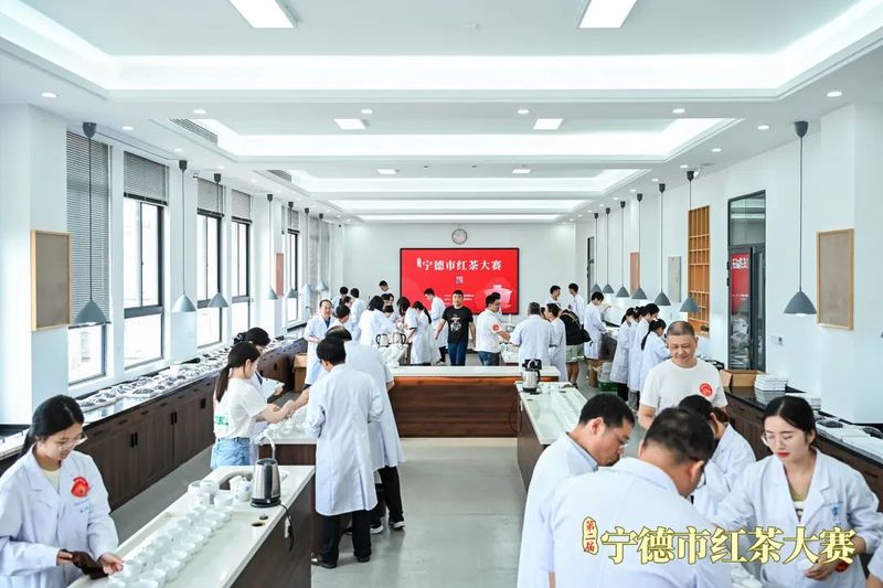 有关于这场红茶大赛呈现闽东茶品质密码的新闻