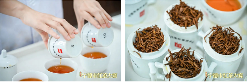有关于这场红茶大赛呈现闽东茶品质密码的新闻(9)