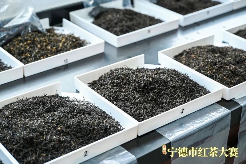有关于这场红茶大赛呈现闽东茶品质密码的新闻(1)