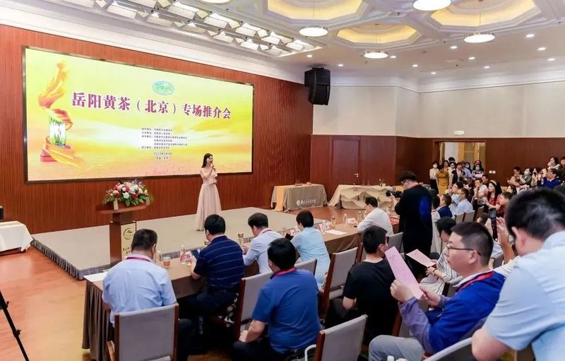 关于谁是中国黄茶的领头羊?的信息