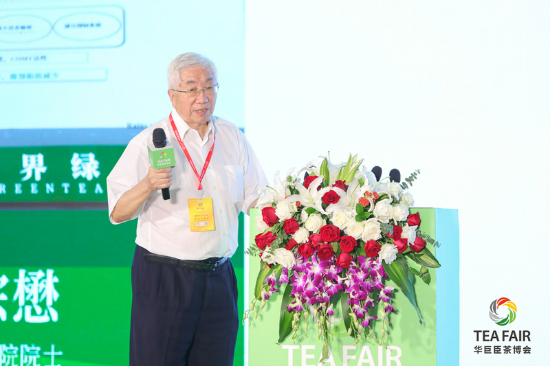 关于湾区聚力 迸发澎湃新动能   五大亮点众览第三届世界绿茶大会！的消息(5)