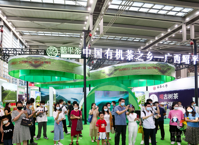 关于湾区聚力 迸发澎湃新动能   五大亮点众览第三届世界绿茶大会！的消息(12)