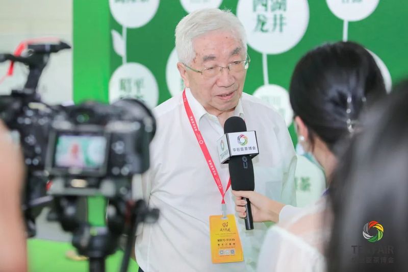 关于湾区聚力 迸发澎湃新动能   五大亮点众览第三届世界绿茶大会！的消息(19)