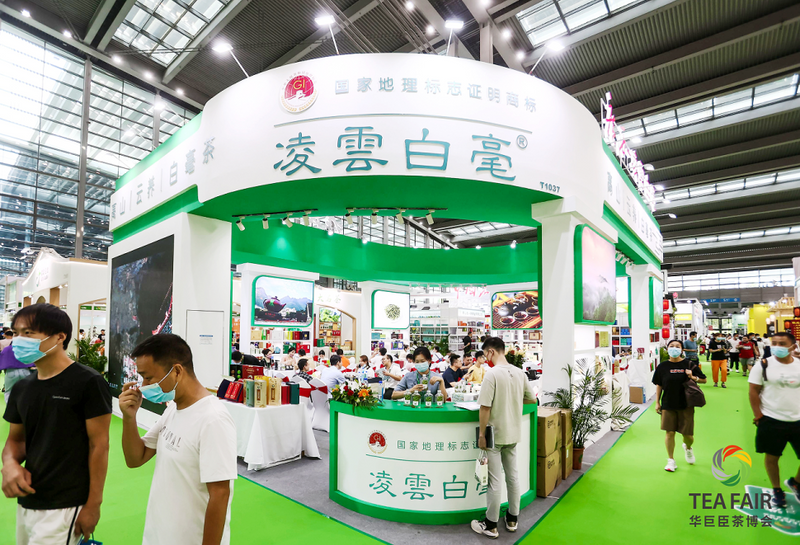 关于湾区聚力 迸发澎湃新动能   五大亮点众览第三届世界绿茶大会！的消息(11)