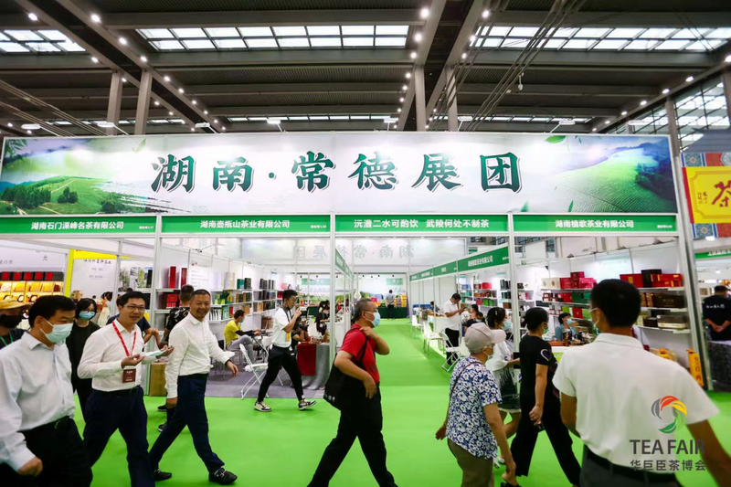 关于湾区聚力 迸发澎湃新动能   五大亮点众览第三届世界绿茶大会！的消息(14)