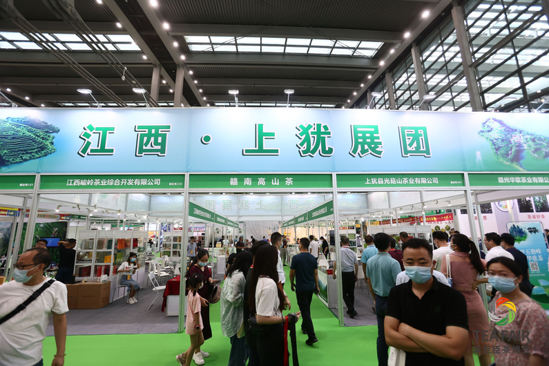 关于湾区聚力 迸发澎湃新动能   五大亮点众览第三届世界绿茶大会！的消息(15)