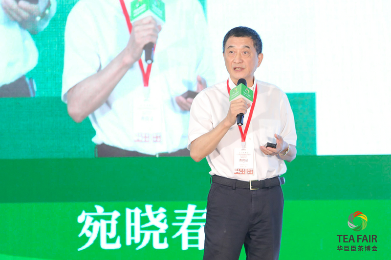 关于湾区聚力 迸发澎湃新动能   五大亮点众览第三届世界绿茶大会！的消息(7)