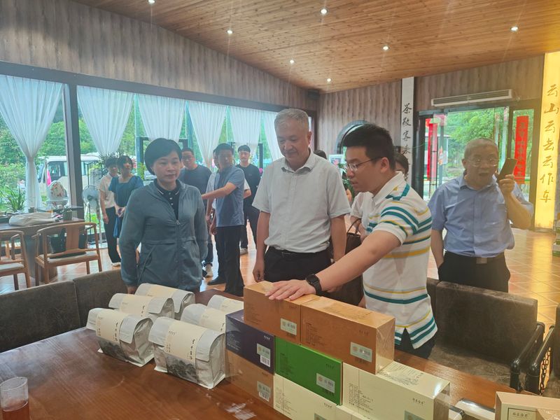 关于福鼎市召开2023年茶园基地化建设现场会的消息