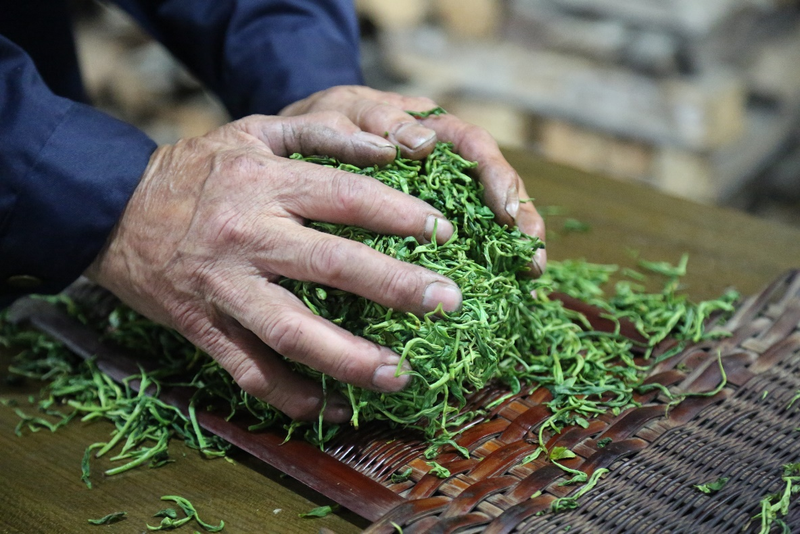 有关于绍兴茶·一壶饮尽江南风雅的相关信息