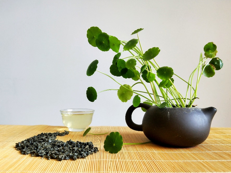 有关于绍兴茶·一壶饮尽江南风雅的相关信息(1)