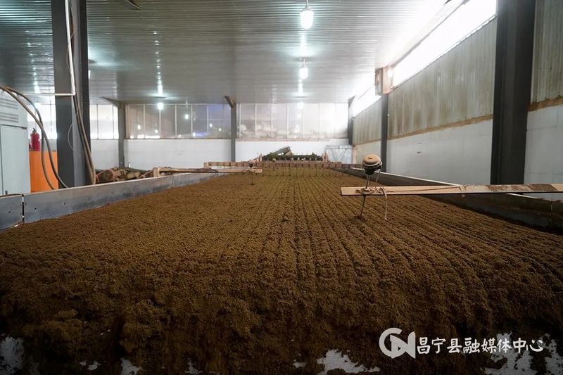 有关于​昌宁勐统：贡茶飘香茶农乐的内容(8)