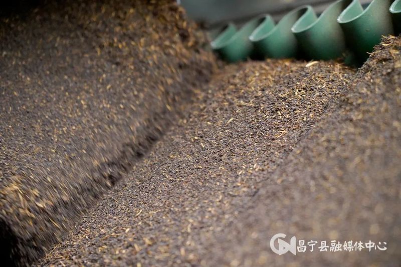 有关于​昌宁勐统：贡茶飘香茶农乐的内容(4)