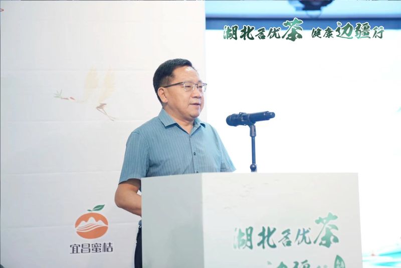 有关于湖北名优茶﹒健康边疆行,“楚味三兄弟”今日在乌市联手闯市场的最新消息(5)