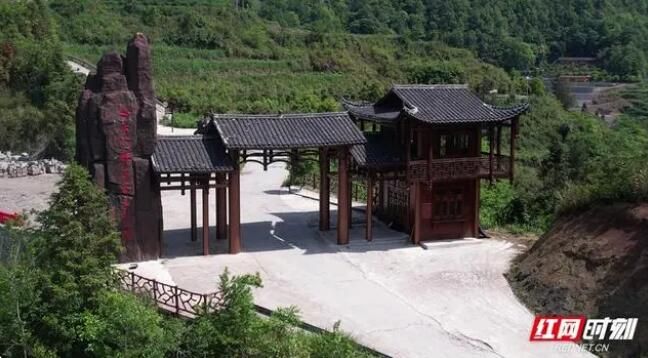 关于张家界熊家逻村：小小“莓茶叶”铺就致富路的最新消息(7)