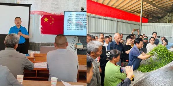 有关于云南茶叶所梁河县农科服务团到梁河县开展茶叶技能培训的新闻(1)