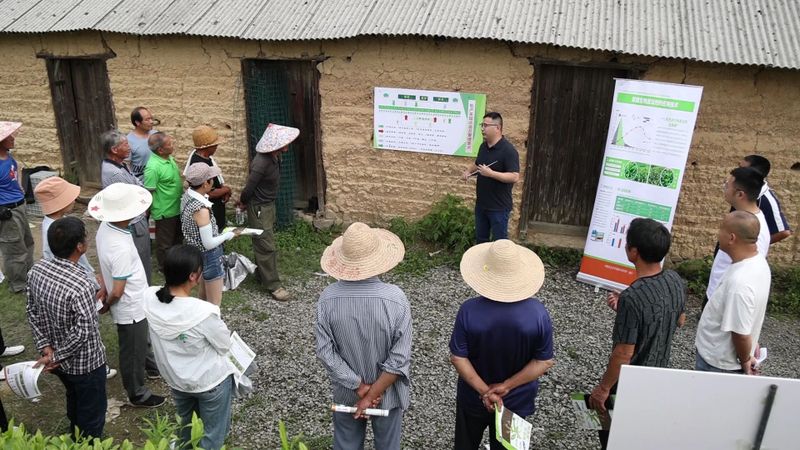 有关于低产茶园插上科技翅膀 实现茶叶增产增效的相关信息(1)