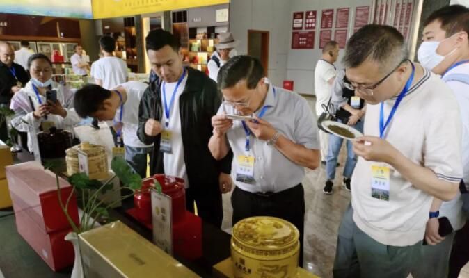 有关于区政协主席倪林出席2023年四川茶业科技年会并作“三茶统筹·名山模式”经验交流发言的信息