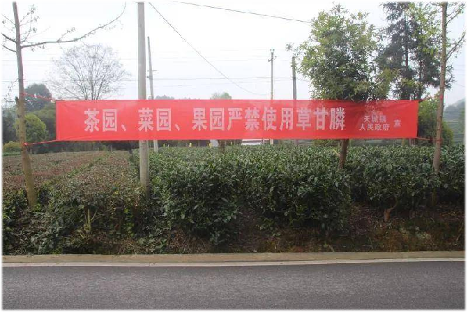 关于2022年贵州茶叶质量安全情况发布 17个产品不合格的消息(1)