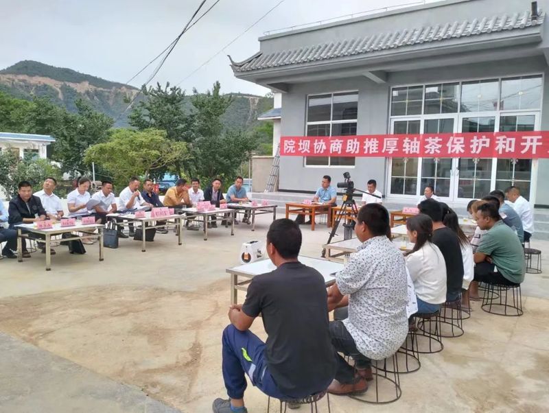 有关于镇康县政协通过“院坝协商”助推厚轴茶产业发展的最新消息