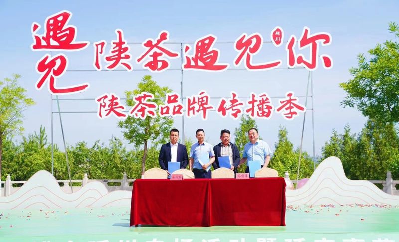 有关于第四届陕西网上茶博会延川专场活动启动 延安枣芽茶公用品牌发布的新闻(5)