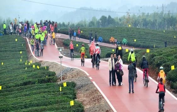 关于湖北赤壁：在“中国青砖茶之乡”品尝岁月沉淀老茶韵香的相关内容(3)