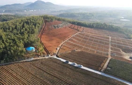 关于湖北赤壁：在“中国青砖茶之乡”品尝岁月沉淀老茶韵香的相关内容(4)