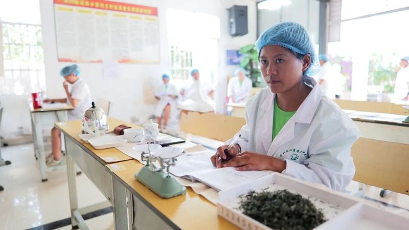 有关于培训农村评茶员 助力普洱茶产业发展的消息(1)