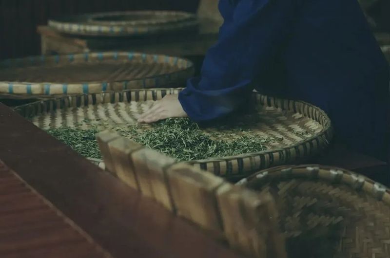 有关于名山推荐官城市盛典即将开始的相关内容(2)