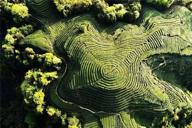 有关于名山推荐官城市盛典即将开始的相关内容(1)