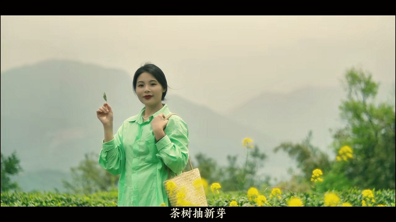 有关于名山推荐官城市盛典即将开始的相关内容(7)