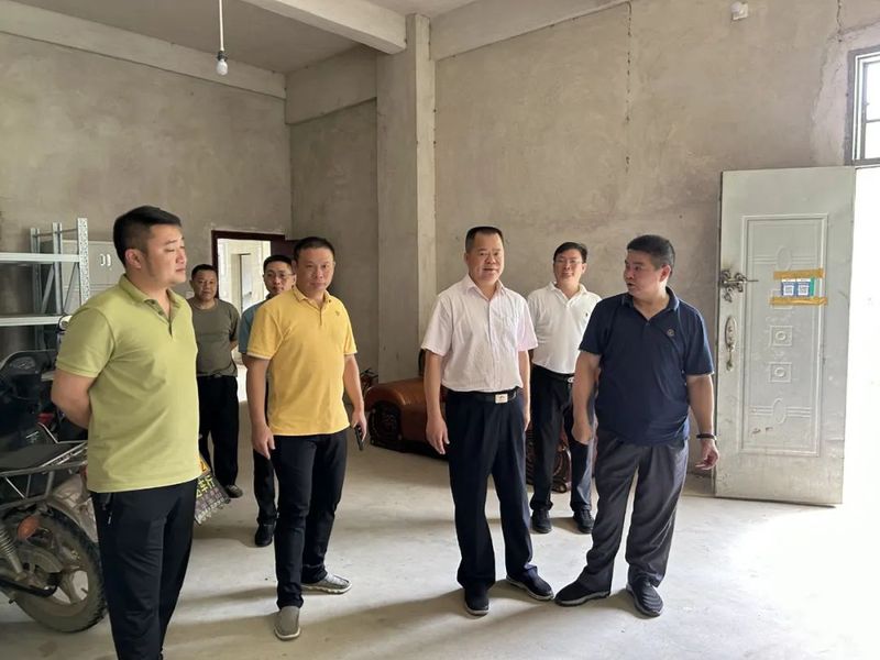 有关于陈妙龙到五房村调研炒茶产业发展情况的内容(2)