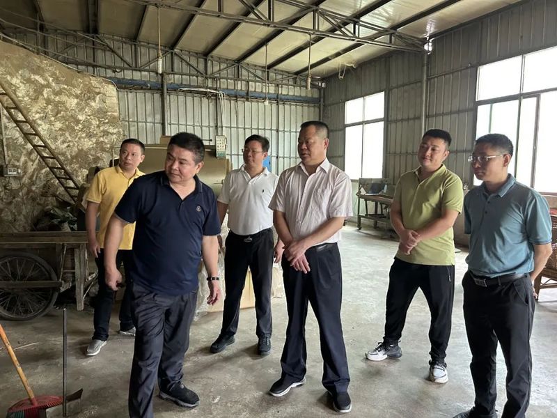 有关于陈妙龙到五房村调研炒茶产业发展情况的内容(1)