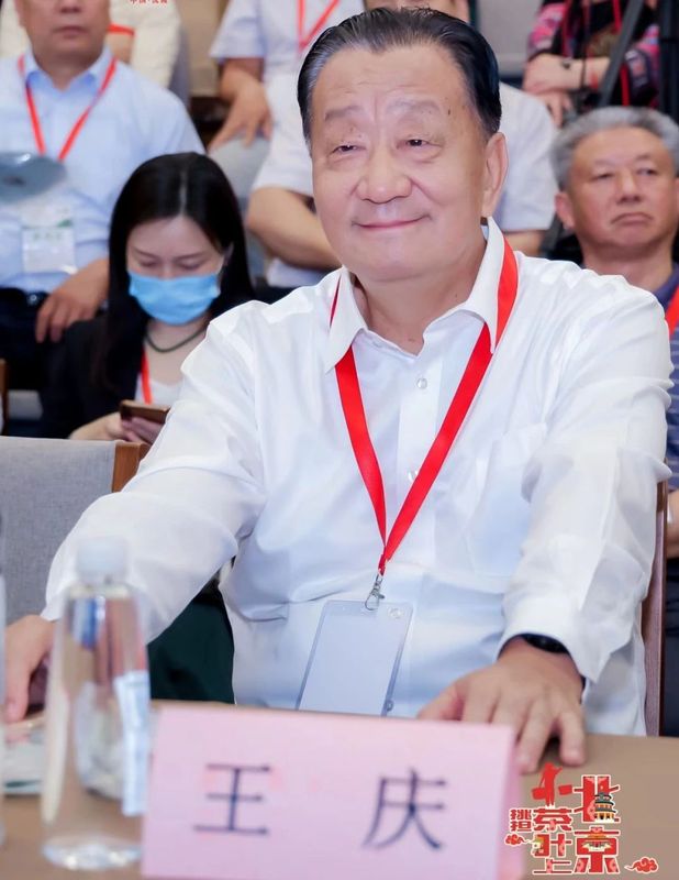 关于乡村振兴 五彩茶香“挑担茶叶上北京” 五彩湘茶竞艳京城——沅陵碣滩茶品牌专场推介会 五彩湘茶品牌推介会在北京展览馆举(4)