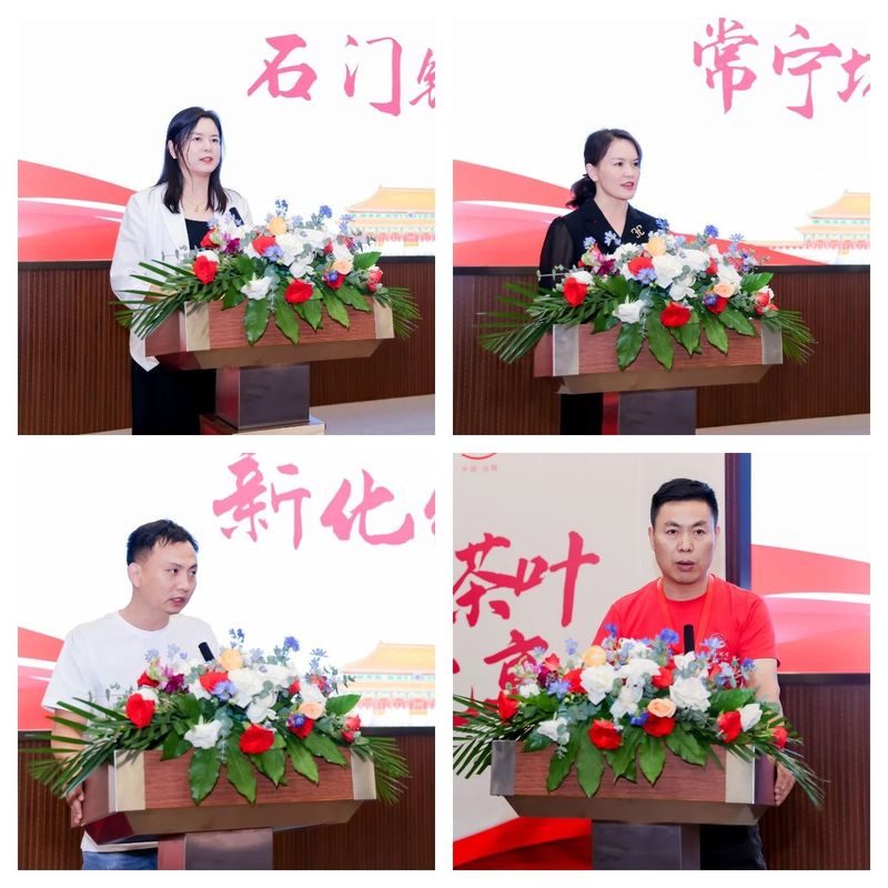 关于乡村振兴 五彩茶香“挑担茶叶上北京” 五彩湘茶竞艳京城——沅陵碣滩茶品牌专场推介会 五彩湘茶品牌推介会在北京展览馆举(11)