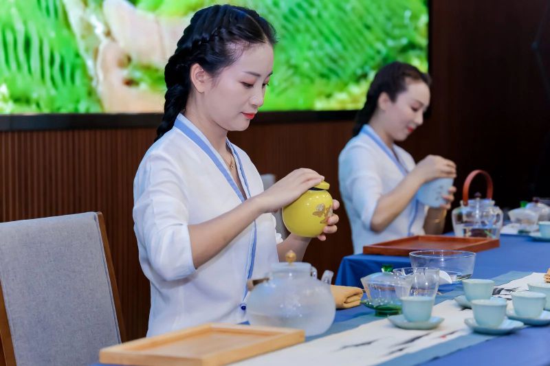 关于乡村振兴 五彩茶香“挑担茶叶上北京” 五彩湘茶竞艳京城——沅陵碣滩茶品牌专场推介会 五彩湘茶品牌推介会在北京展览馆举(9)