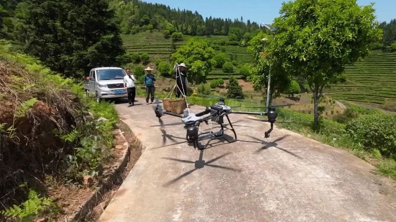 有关于回顾2022茶科技，激活武夷茶园高质量发展引擎的“新密码”的最新消息(1)