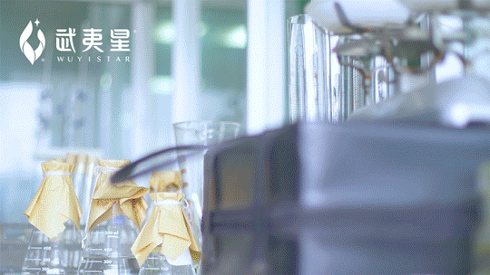 有关于回顾2022茶科技，激活武夷茶园高质量发展引擎的“新密码”的最新消息(8)