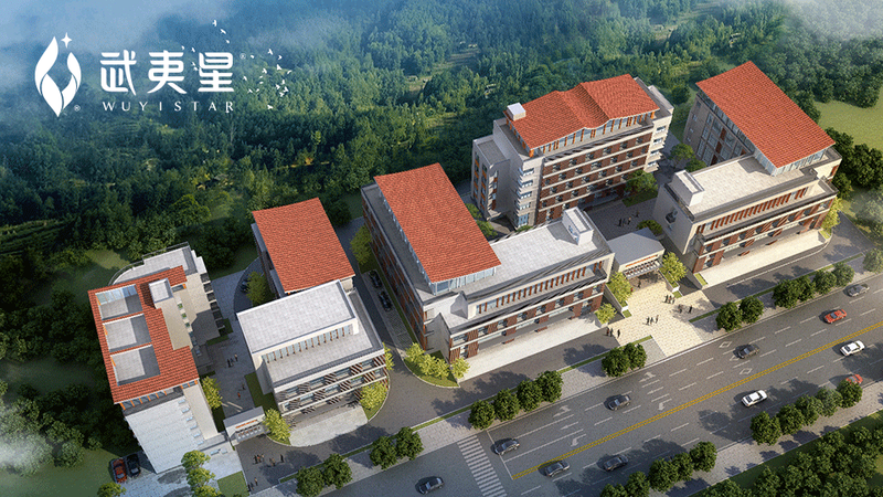 有关于回顾2022茶科技，激活武夷茶园高质量发展引擎的“新密码”的最新消息(7)