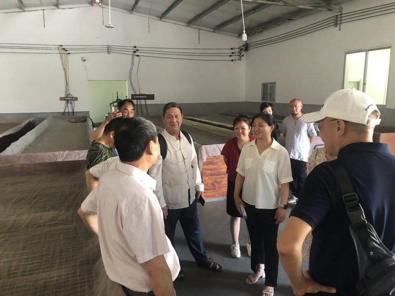 有关于大田县茶产业技术人才培训班到台溪乡开展交流调研的消息(2)