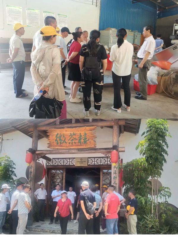 有关于大田县茶产业技术人才培训班到台溪乡开展交流调研的消息