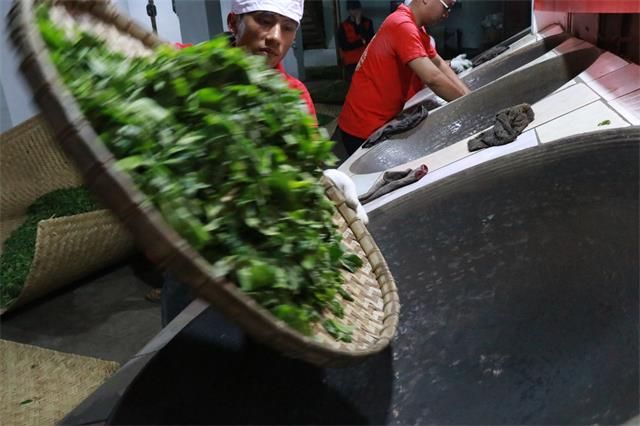 有关于茶旅融合，在路上的相关信息(2)