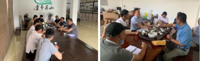 有关于大田县人大、政协联合开展美人茶产业发展情况专题调研的相关内容(2)