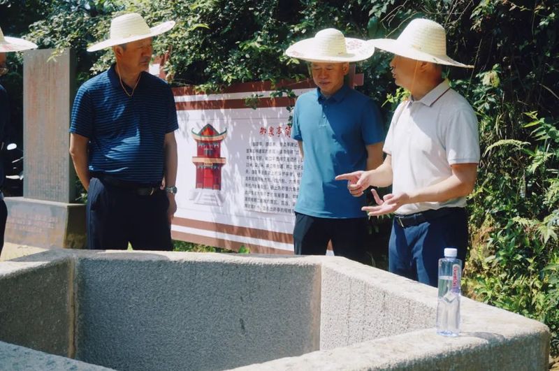 关于南平市委宣传部到东峰镇开展茶文化产业调研的相关内容(1)