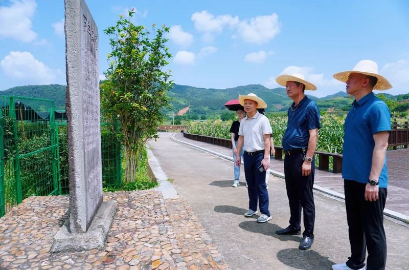 关于南平市委宣传部到东峰镇开展茶文化产业调研的相关内容(2)