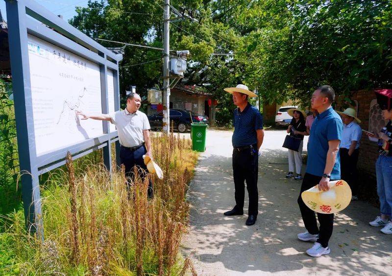 关于南平市委宣传部到东峰镇开展茶文化产业调研的相关内容